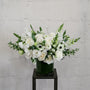 White Garden